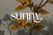 Aishwarya Luxury Serif Font, a Serif Font by UICreative (Thumbnail 10 of 12)