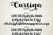 Cartina 8 in 1 script, a Handwritten Font by supfonts (Thumbnail 6 of 6)