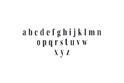 Fjørd Serif, a Serif Font by kavoon (Thumbnail 9 of 11)