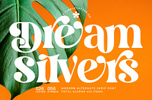 Dream Silvers Modern Serif Font