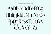 Megilona, a Serif Font by Black Studio (Thumbnail 12 of 17)
