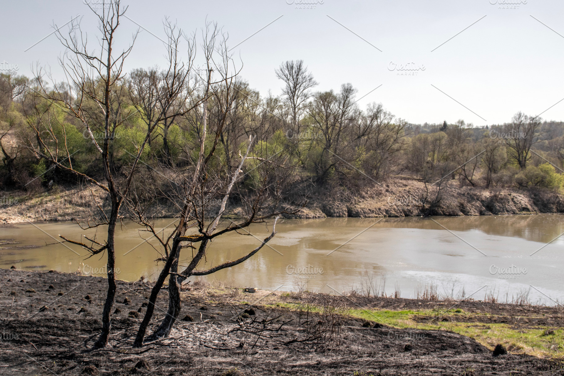 A pond with brown water spring bank, a Nature Photo by Schreibikus