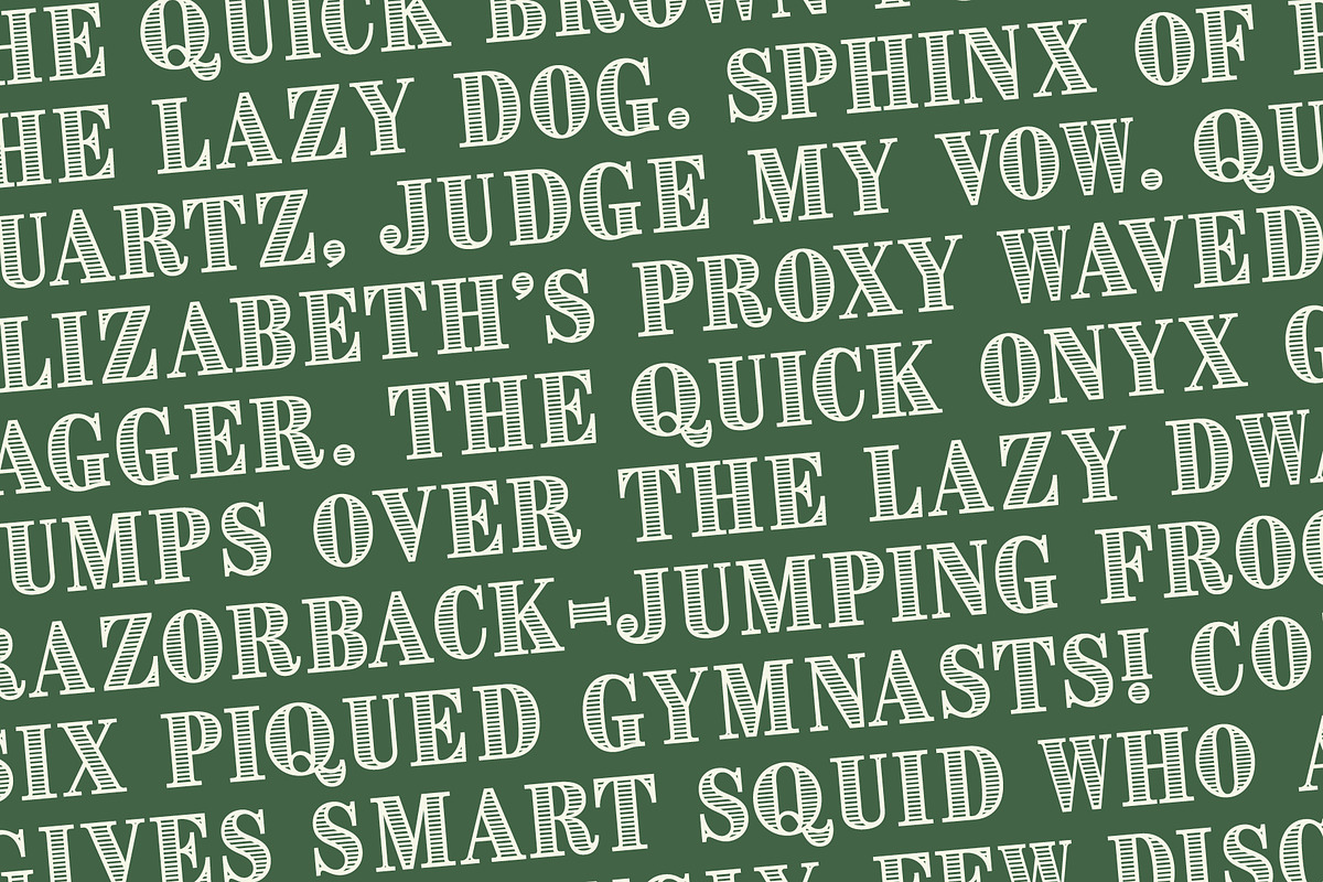 CASH, a Serif Font by Loudoun Design Co. (Photo 4 of 7)