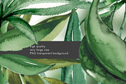XL files - Watercolor Cannabis Set, an Object Graphic by Jeanina Vlad (Thumbnail 6 of 17)