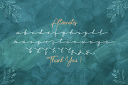 Belinday - Monoline Script Font, a Script Font by StringLabs (Thumbnail 11 of 11)