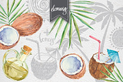Coconut set, a Food Illustration by maritime_m (Thumbnail 4 of 6)