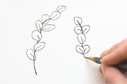 Botanical shapes, organic forms, a Decorative Illustration by JuDesign (Thumbnail 5 of 11)