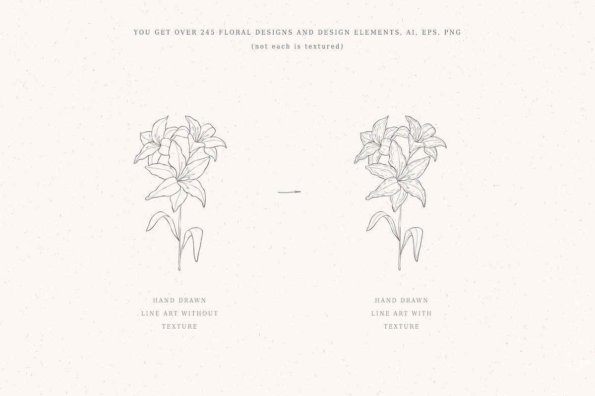Botanical Hand Drawn Designs, Logos, a Seasonal Illustration by Designwork (Photo 16 of 22)