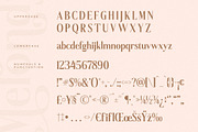Melondy Modern Stylish Serif, a Serif Font by Storytype Studio (Thumbnail 13 of 15)