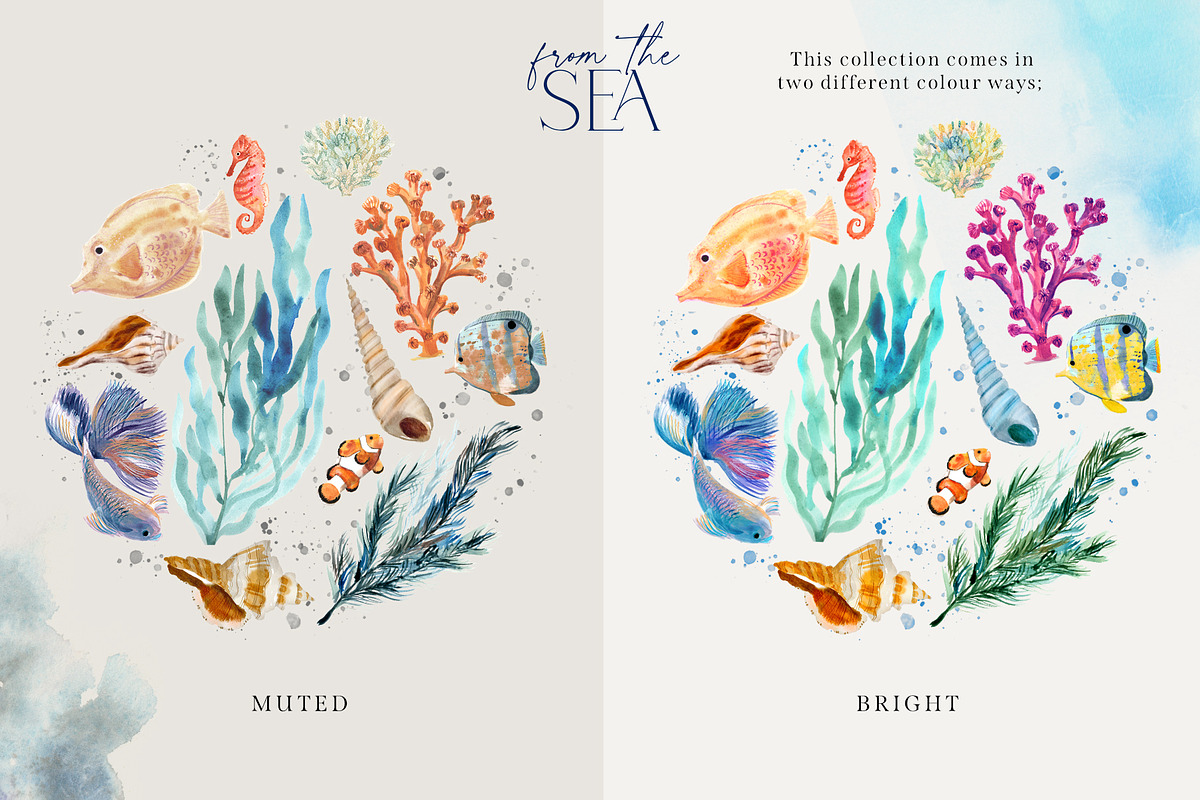 From The Sea Ocean Clipart, an Illustration by Twigs and Twine (Photo 6 of 12)