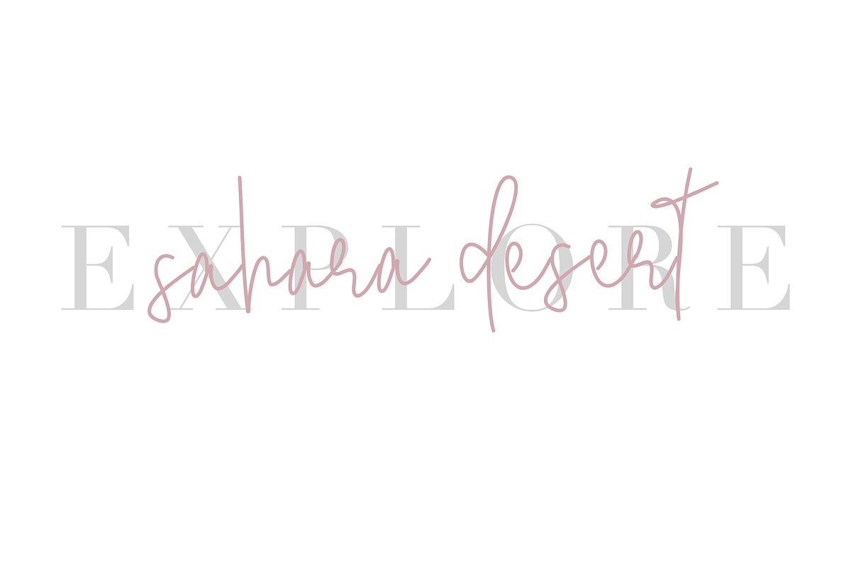Serendipity Font - Chic Script preview 2
