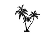 Palm Tree Vector Bundle Pack, an Illustration by Artivon (Thumbnail 18 of 20)