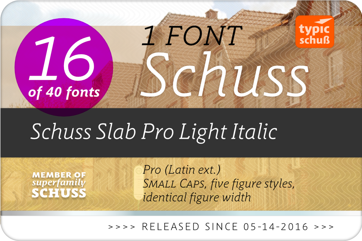 SchussSlabProLightIta No.16 (1 Font) preview 2