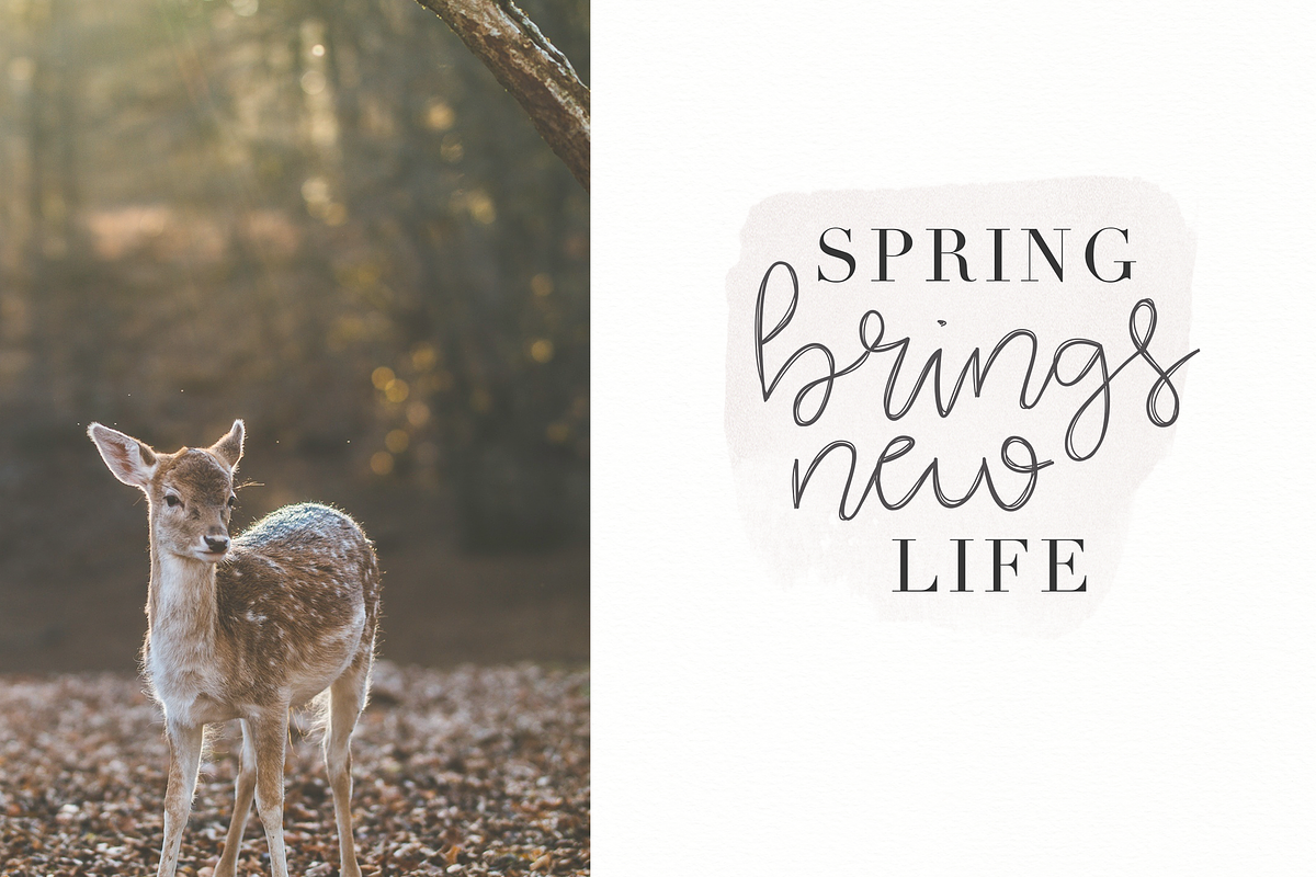 Blooming - Handwritten Font, a Handwritten Font by KA Designs (Photo 2 of 6)
