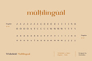 Whitefield - Handcrafted Serif, a Serif Font by AlienValley (Thumbnail 6 of 8)
