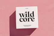 Wild Mango | Modern Serif Font, a Serif Font by KA Designs (Thumbnail 4 of 24)