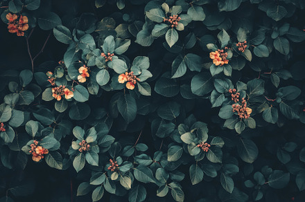 Vintage floral pattern featuring, a Photo by Pavel_design