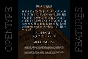 CASTLE ROCKS DUO - Ligature Font, a Serif Font by Java pep (Thumbnail 15 of 15)