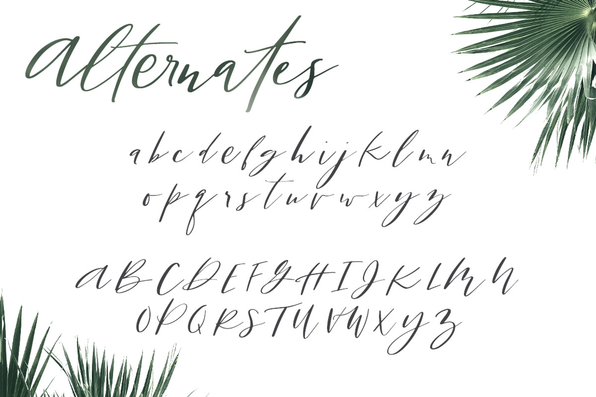 San Clemente | A Carefree Script preview 8