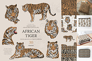 African tigers collection, an Animal Illustration by Siriliadka Dreams (Thumbnail 1 of 6)