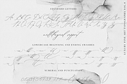 Beloved Gray // Fine art Calligraphy, a Script Font by PeachCreme (Thumbnail 11 of 12)