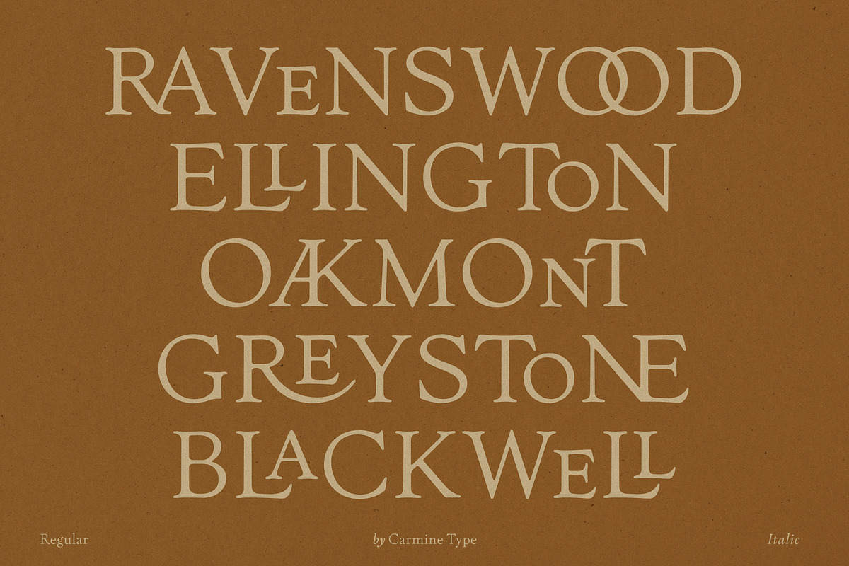 The Ashcombe Hall Oldstyle Serif, a Serif Font by CarmineType (Photo 2 of 24)