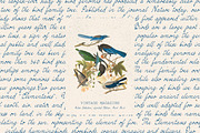 Simple Elegance Script, a Handwritten Font by DesignThatMatters (Thumbnail 8 of 15)