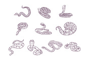 Breeds Snake Handdrawn Vol 2, an Animal Illustration by SLAB! Design (Thumbnail 2 of 3)