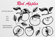 Set of hand-drawn sketches apples, a Background Graphic by Fresh art by Larysa (Thumbnail 1 of 5)