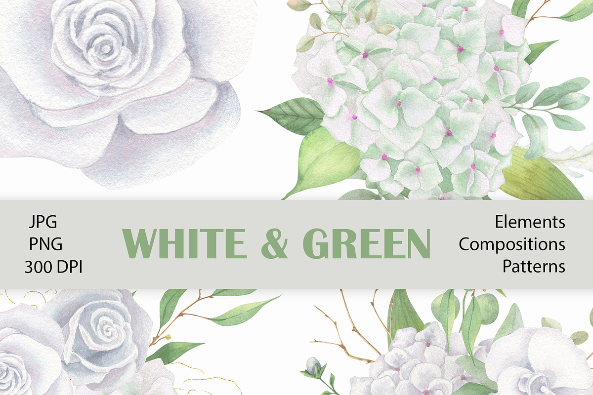 White & Green  boho flowers clipart, a Decorative Illustration by Nebbia (Photo 1 of 11)