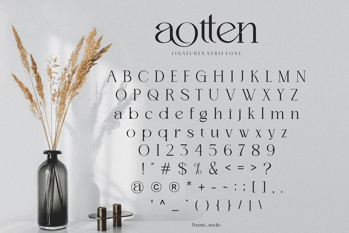 Aotten, a Serif Font by Penatic Studio (Photo 8 of 10)