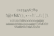 Jerrad Beautiful Serif 4 Font Family, a Serif Font by Creativetacos (Thumbnail 4 of 5)