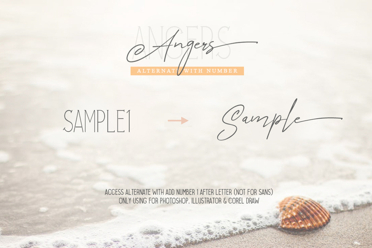 Angers Script Font Duo, a Script Font by khurasan (Photo 9 of 10)