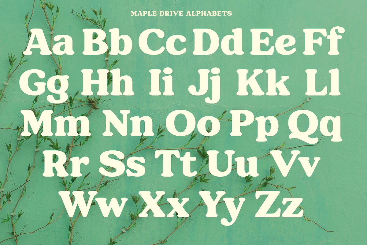 Maple Drive Retro Typeface, a Serif Font by Fenotype (Photo 5 of 13)