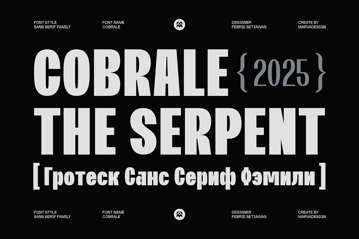Cobrale - Family Grotesk, a Sans Serif Font by Marvadesign (Photo 1 of 12)