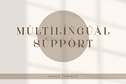 Shole - Display Serif Font, a Serif Font by Aqeel_Art (Thumbnail 12 of 12)