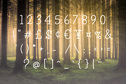 Pine Tall serif font, a Serif Font by TNE Designs (Thumbnail 3 of 5)