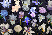 Found Objects & Vintage Memories, an Object Graphic by Anzhelika (Thumbnail 9 of 13)
