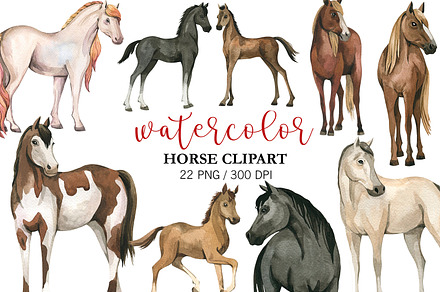 Watercolor Horse Clipart, Animal PNG, an Animal Illustration by PatternPalette