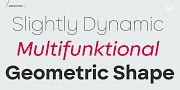 BF Garant Pro, a Sans Serif Font by BrassFonts (Thumbnail 2 of 12)