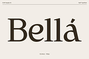 CS Gilvar – Classic Serif Font, a Serif Font by Craft Supply Co. (Thumbnail 2 of 8)