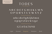 Todes, a Sans Serif Font by Larin Type Co. (Thumbnail 14 of 15)