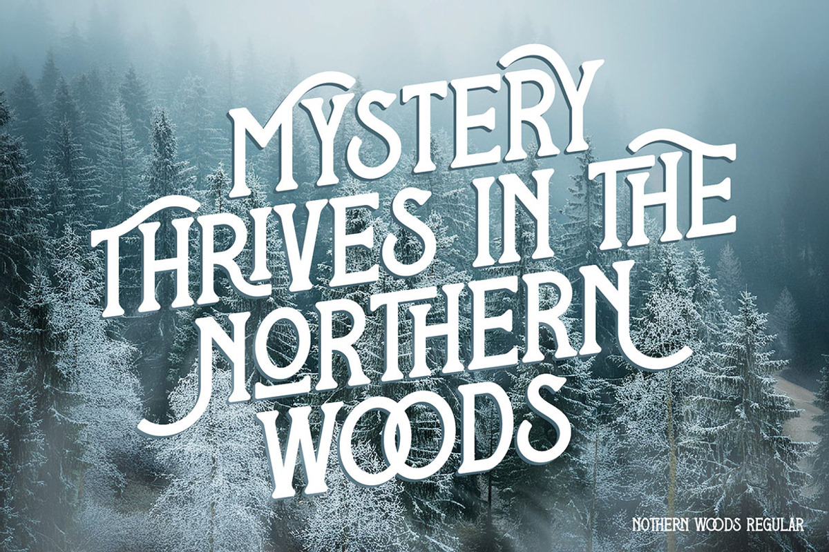 Nothern Woods Vintage Label Font, a Serif Font by JumboDesign (Photo 2 of 6)