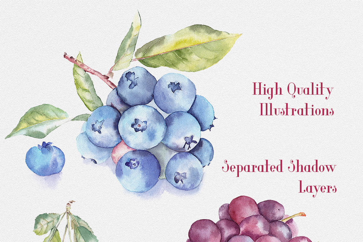 Fruit Watercolor Illustrations, an Illustration by emine (Photo 2 of 3)