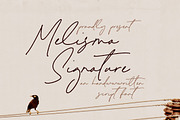 Melisma Signature Font, a Script Font by Timurtype (Thumbnail 1 of 7)