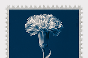 Lupa Co · Cyanotype Botanical Stamps, a Texture Illustration by milatovar (Thumbnail 18 of 18)
