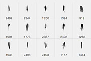 Feather Photoshop brushes preview 6