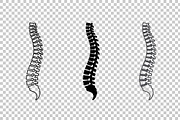 Human Spine Vector Icon Set, an Object Graphic by Artonix (Thumbnail 3 of 3)