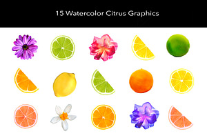 Citrus Watercolor Graphics Set