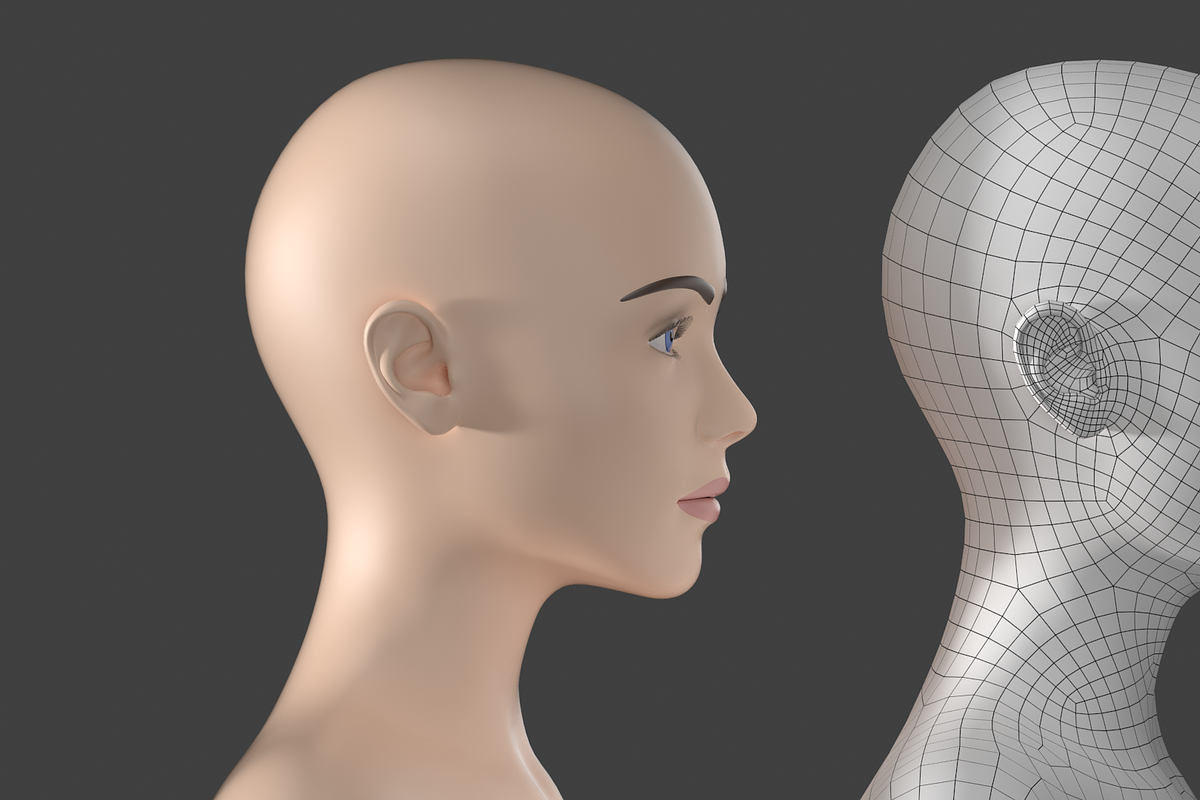 Stylized Female 01 T-Pose Base Mesh, a Characters & Person 3D Model by VK Studio (Photo 14 of 28)